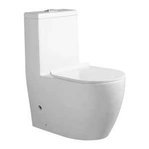 Унитаз-моноблок Knois KN629 Белый глянцевый KN6298000